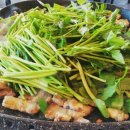 탐복미나리가든 이미지