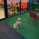 지에스(GS)25 창원상남점 이미지