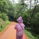 물무산행복숲둘레길 | 영광 물무산 행복숲,우중트레킹