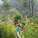 에버그린펜션 이미지