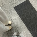 벌써 tree들이 turn red...? I am 소름이에요