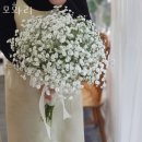 모화리 네이버블로그
