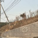 마리의부엌스테이 | [내돈내산] 강릉 네코스테이 1박 후기