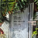 띠에라 | 내돈내산 광명브런치카페 양식맛집 라띠에라 방문후기