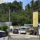 태화횟집 - 중구 화진4길 20 | 포항 맛집 추천 포항 물회 맛집 "태화횟집" 후기