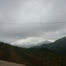 한국신경외과의원 이미지