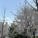 미국동부여행, 미국여행 음식물, 미주노선 가능 수화물, 인천공항 스카이허브라운지 이용 후기