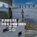 모아이짐 | 2월 삿포로날씨 삿포로근교 모아이석상(사슴) 삿포로쇼핑
