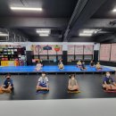 성균관대선진태권도 이미지