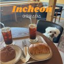 인천 논현 애견 동반 카페 마크로스터스 내돈내산 메뉴 주차 후기