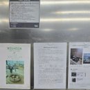 베글베글 | 구읍뱃터카페 엉클베어베이글에서 먹은 밤베이글과 아몬드베이글 후기