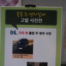 주정차42 이미지