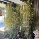 홍제공용주차장 이미지