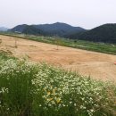 대가야읍 파크골프장 이미지