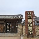 경주 교촌한옥마을 월정교 입장료 강아지 애견동반 여부