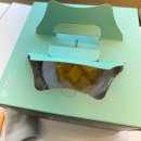 망고프라자 | 세종팡쇼 케이크가 맛있는 망고케이크 솔직후기