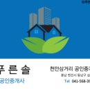 푸른솔부동산 공인중개사사무소 이미지
