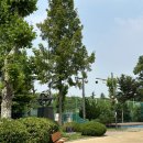 신트리공원 테니스장 이미지