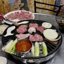 서구노인복지관(15) | 대전 탄방동 맛집 뒷고기 술집 오늘은돼지