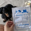 오라고동물병원 이미지