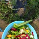 방자농장 이미지