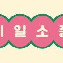 네일소풍