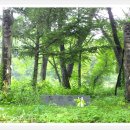 충북알프스자연휴양림 이미지