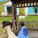 산새목장 이미지