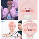 댕댕 이미지
