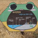 금와습지 생태공원 이미지