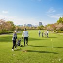 파크골프장 이미지
