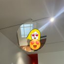 드리머스키친 | 성수 l 팝업스토어 핫플 소품샵 편집샵 쇼룸 투어 3탄
