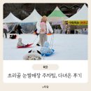삼남매 | 초리골 눈썰매장 3살 5살 5개월 삼남매 방문후기 주차꿀팁