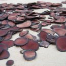 약선당 부부한의원 이미지