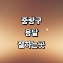 개인화물439 | 서울 중랑구 근처 화물용달 추천 전문업체 잘하는곳...대여 소형 라보용달 퀵서비스 침대 후기 가격 운송