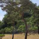 생거진천치유의숲 네이버블로그