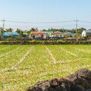 원평지마을회관 이미지