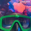 성수주유소 | 성수 전시 문도 픽사 전시회 후기 테마별 관람 포인트, 사진 촬영샷 미리보기