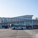 한반도생태평화종합관광센터 티스토리