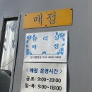 바닷가농원 | 검디관광농원 캠핑장 사자1 데크사이트 후기
