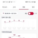수정-135 이미지