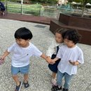모어미엘 이미지