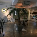 카페인cafein 이미지