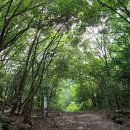 동백동산 이미지