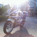 석원이네 이미지