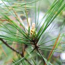 중랑경찰서 이미지