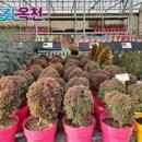 옥천IC(서울)