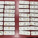 구성초등학교(병설) 이미지