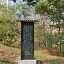 월성박씨종중묘역 이미지