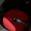 세부 세친구투어 입국 오투팩 내돈내산 솔직후기_오슬롭 고래상어, 투말록폭포